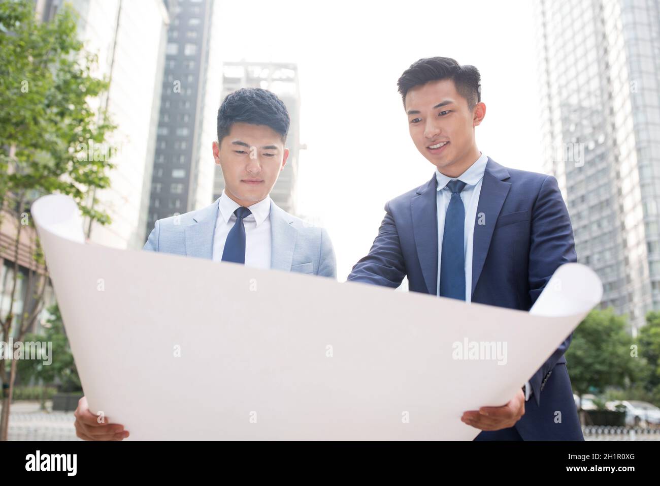 Architects viewing architectural drawings Stock Photo