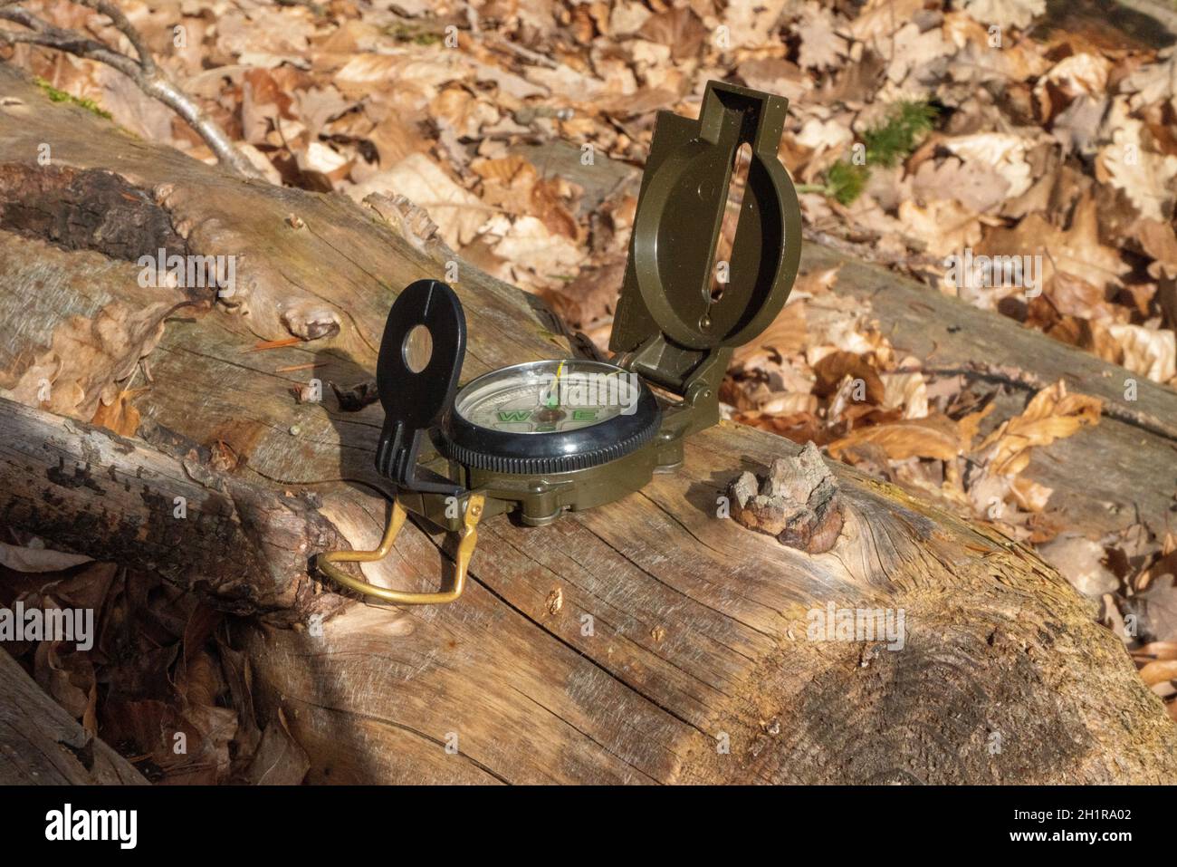 Guide Compass Forest Green hiking compass in the forest on a stump in the sunlight Stock ...