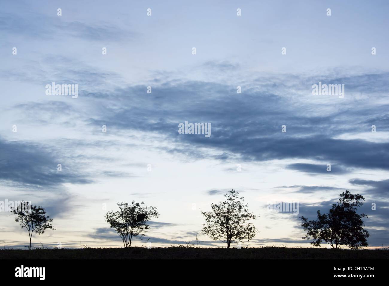 Colorful sunset with tree silhouette Stock Photo - Alamy