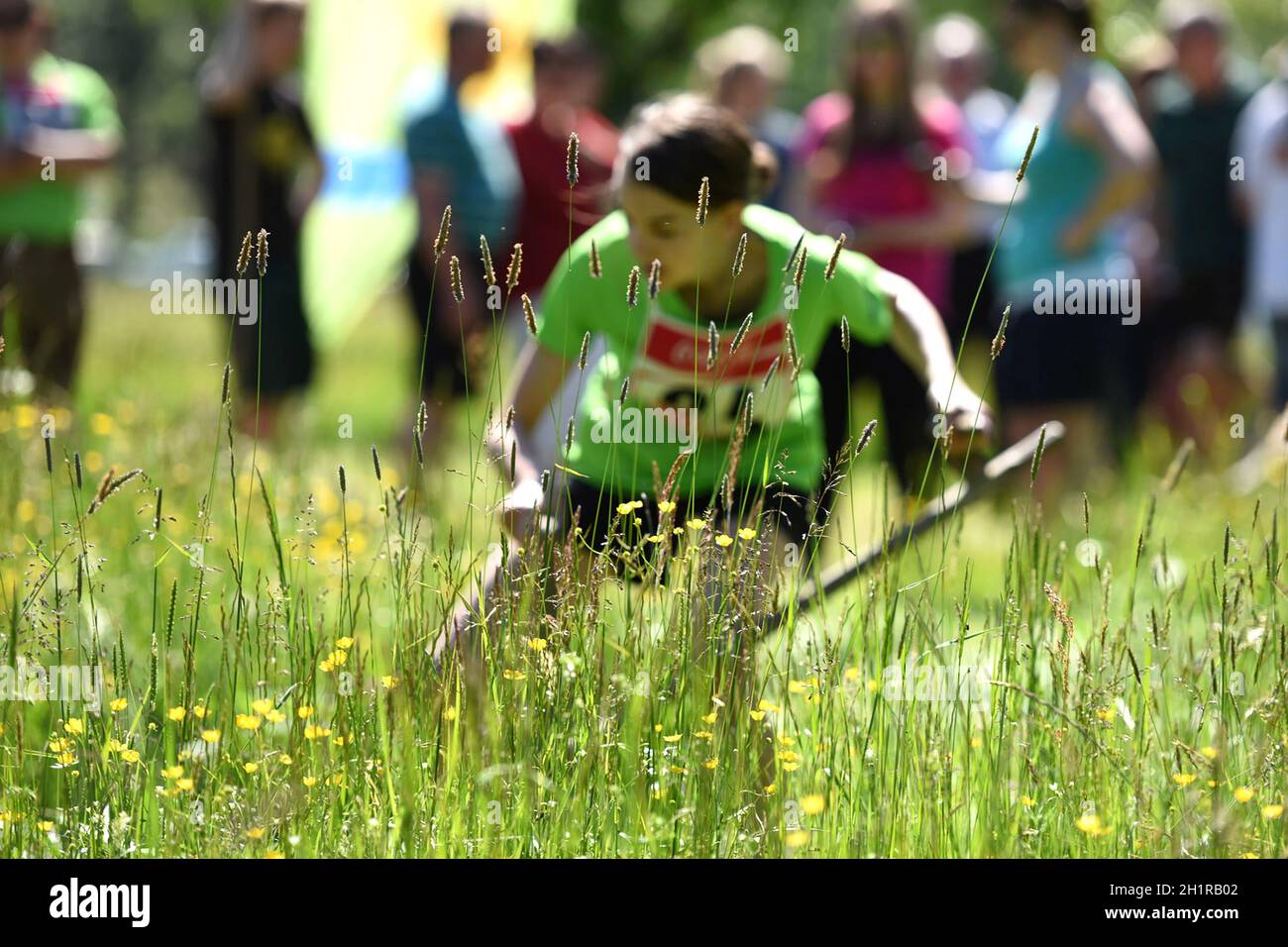 Sensenmähwettbewerb im Almtal, Salzkammergut, Oberösterreich, Österreich, Europa - Scythe mowing in the Almtal, Salzkammergut, Upper Austria, Austria, Stock Photo