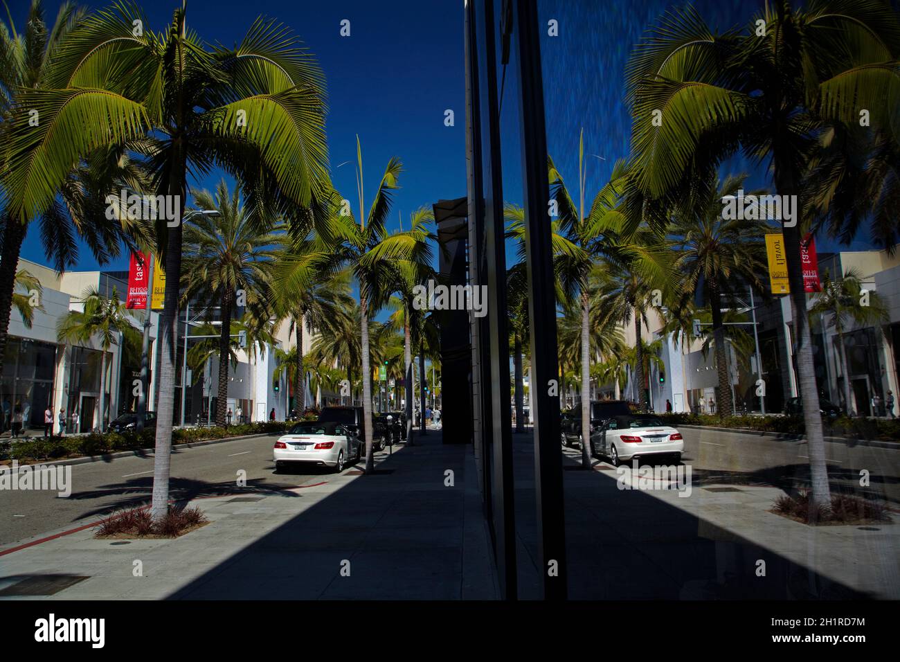 Palm trees and window reflection, Rodeo Drive, luxury shopping street in Beverly Hills, Los