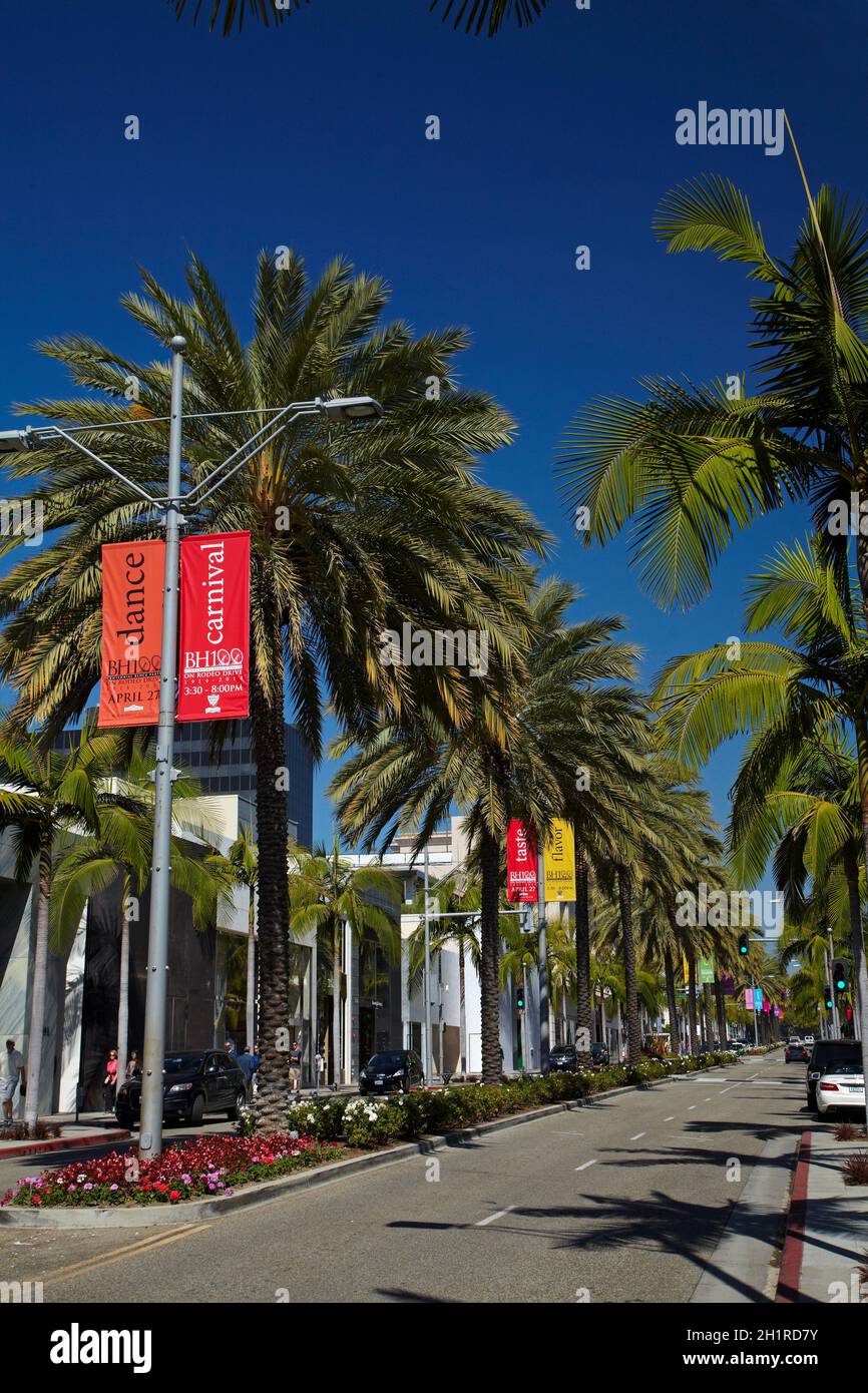 Palm trees on Rodeo Drive, luxury shopping street in Beverly Hills, Los Angeles, California, USA