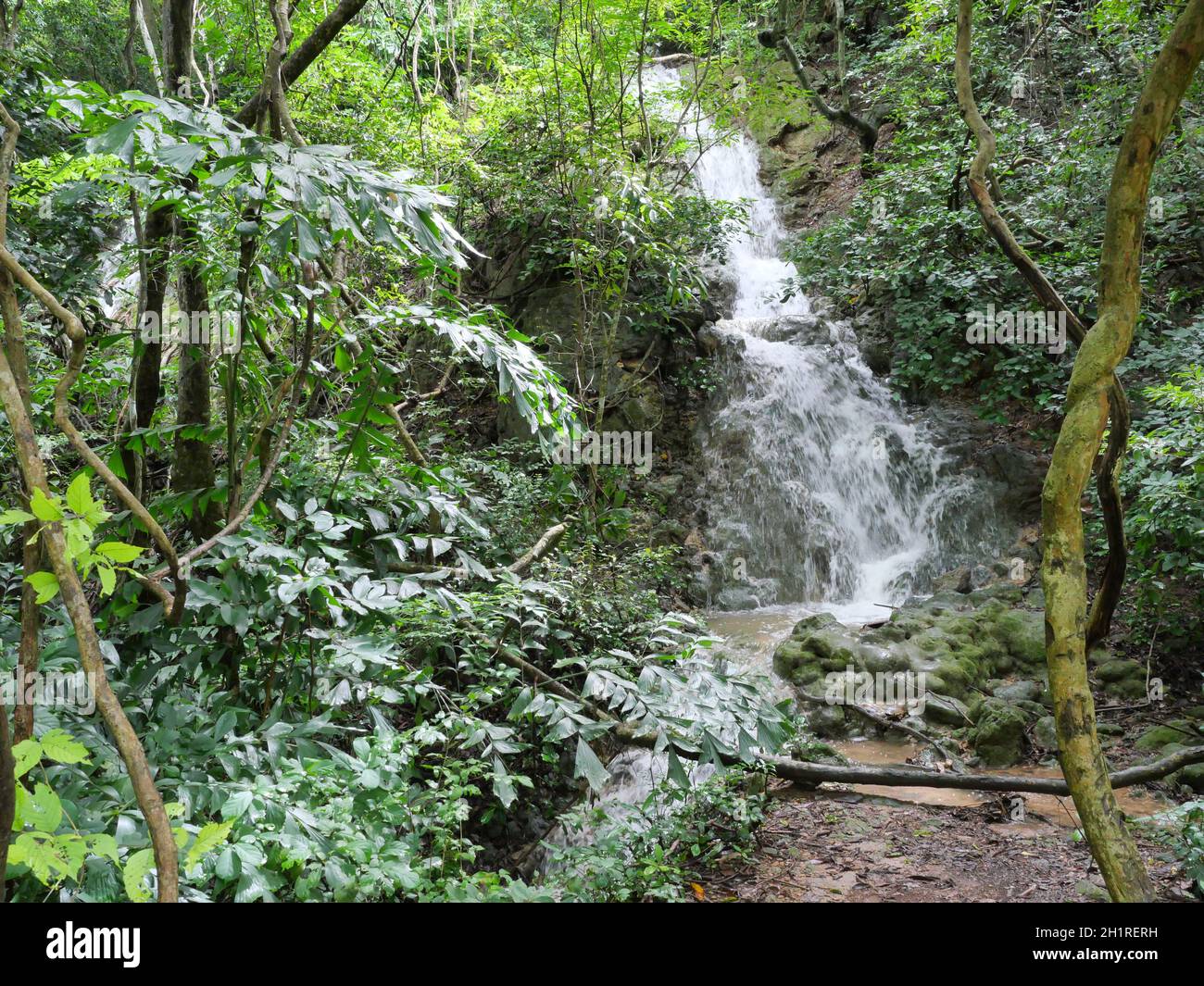 Waterfall in the forest at Khao Sam Roi Yot National Park , Prachuap Khiri Khan, Thailand Stock Photo