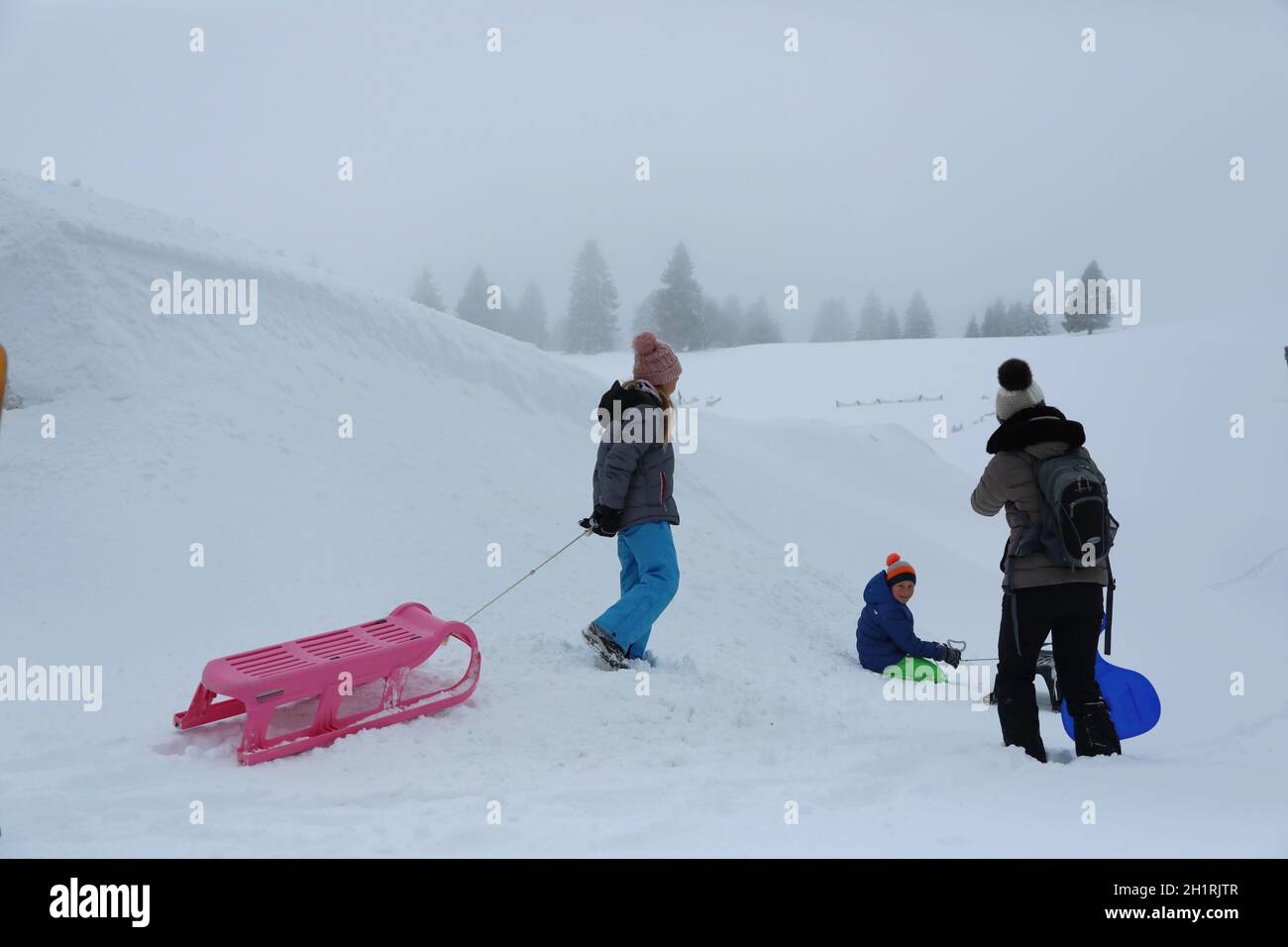 Eine Frau tummelt sich mit ihren beiden Kindern mit dem Schlitten im frischen Neuschnee am Feldberg  Starker Wintereinbruch im Landkreis-Breisgau Hoch Stock Photo