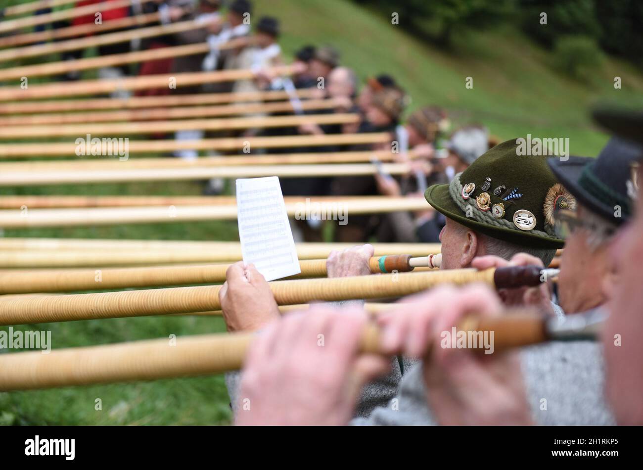 Das 'Alphorn' ist ein mehrere Meter langes hölzernes Musikinstrument - The 'alphorn' is a wooden musical instrument several meters long Stock Photo