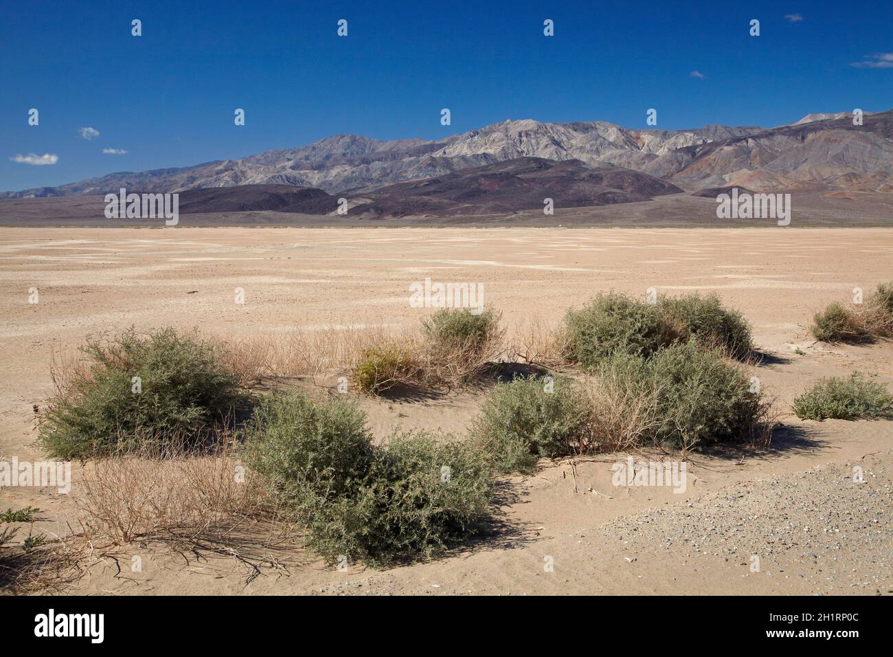 Dried mud in salt Pan, Panamint Valley, and Argus Range, Death Valley ...