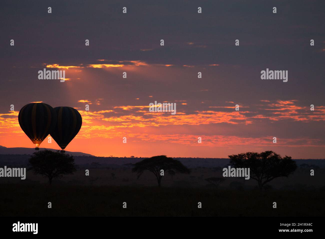 Dawn at Serengeti National Park, Tanzania, Africa. Hot air balloons on sky. African panorama Stock Photo