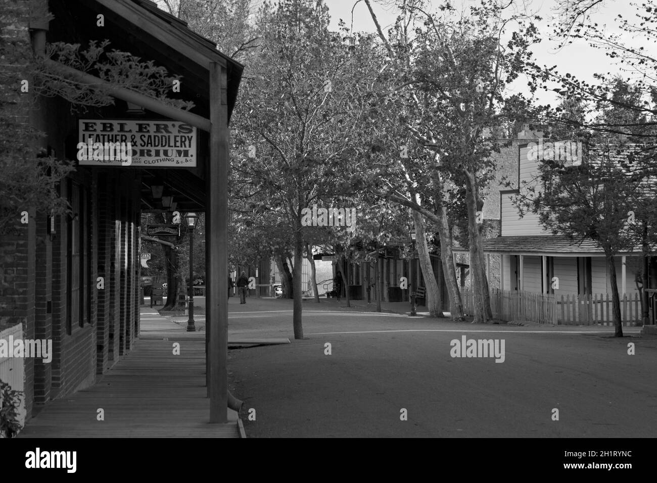Ebler's Leather and Saddlery Emporium, Main Street, Columbia State