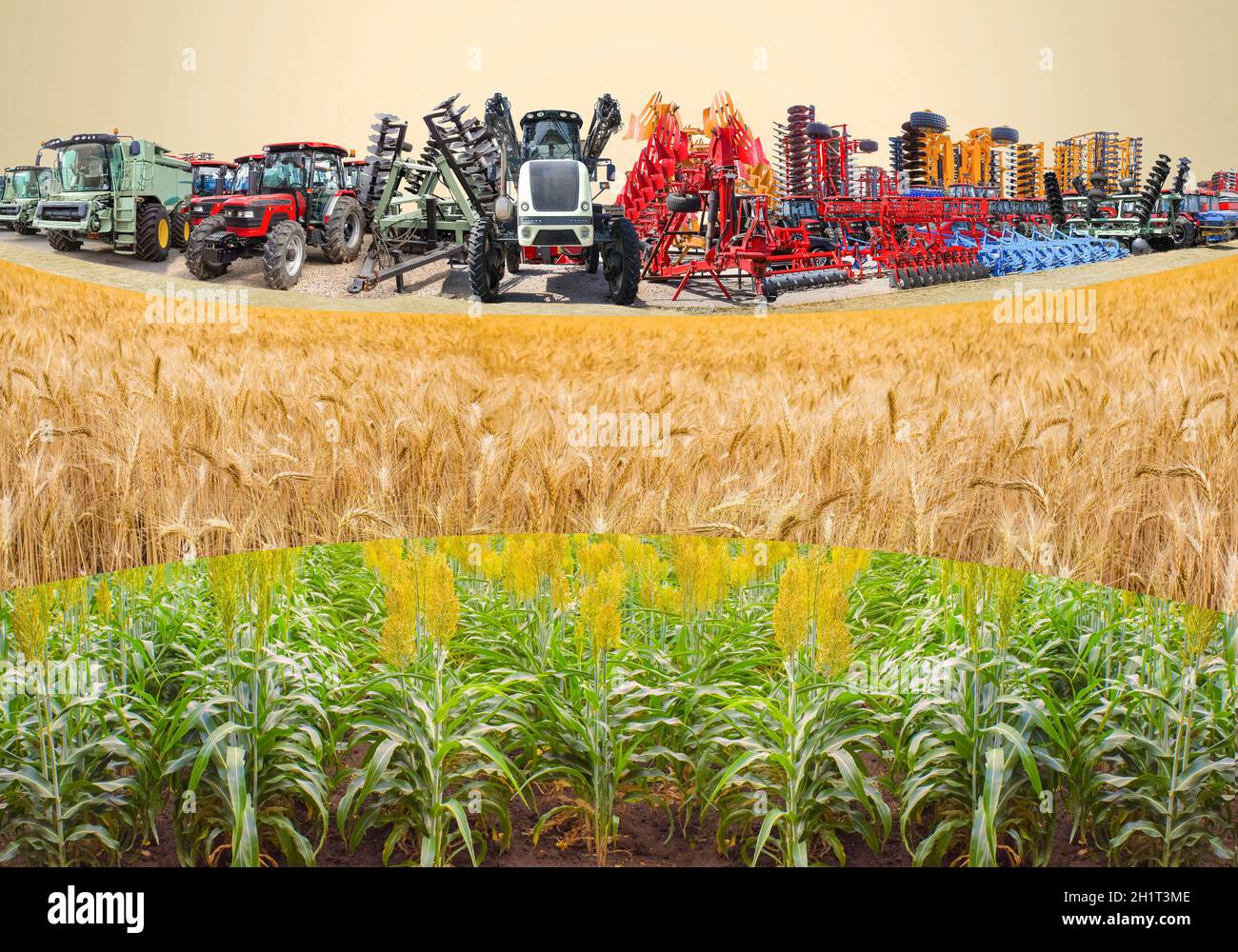 Collage about farm, agriculture, farming. Concept of equipment