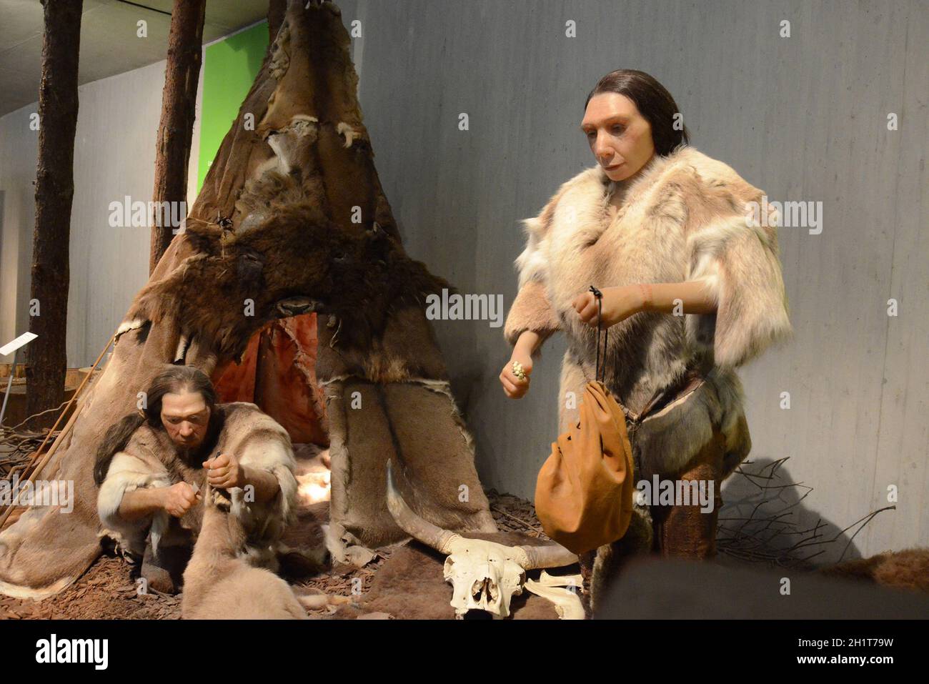 Das Neanderthal Museum ist ein Museum im Neandertal bei Mettmann, Deutschland, Europa - The Neanderthal Museum is a museum in the Neandertal near Mett Stock Photo