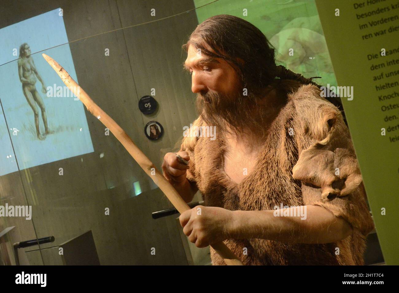 Das Neanderthal Museum ist ein Museum im Neandertal bei Mettmann, Deutschland, Europa - The Neanderthal Museum is a museum in the Neandertal near Mett Stock Photo