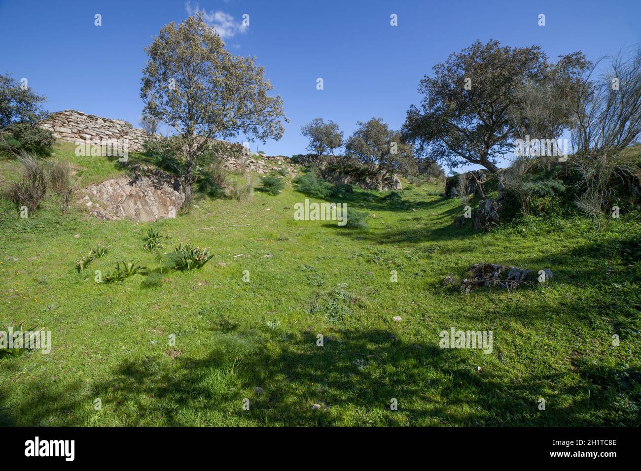 Tamusia archaeological site, Botija, Caceres, Extremadura. Moat. Western Hispano-Celtic hillfort of Vettonian people Stock Photo