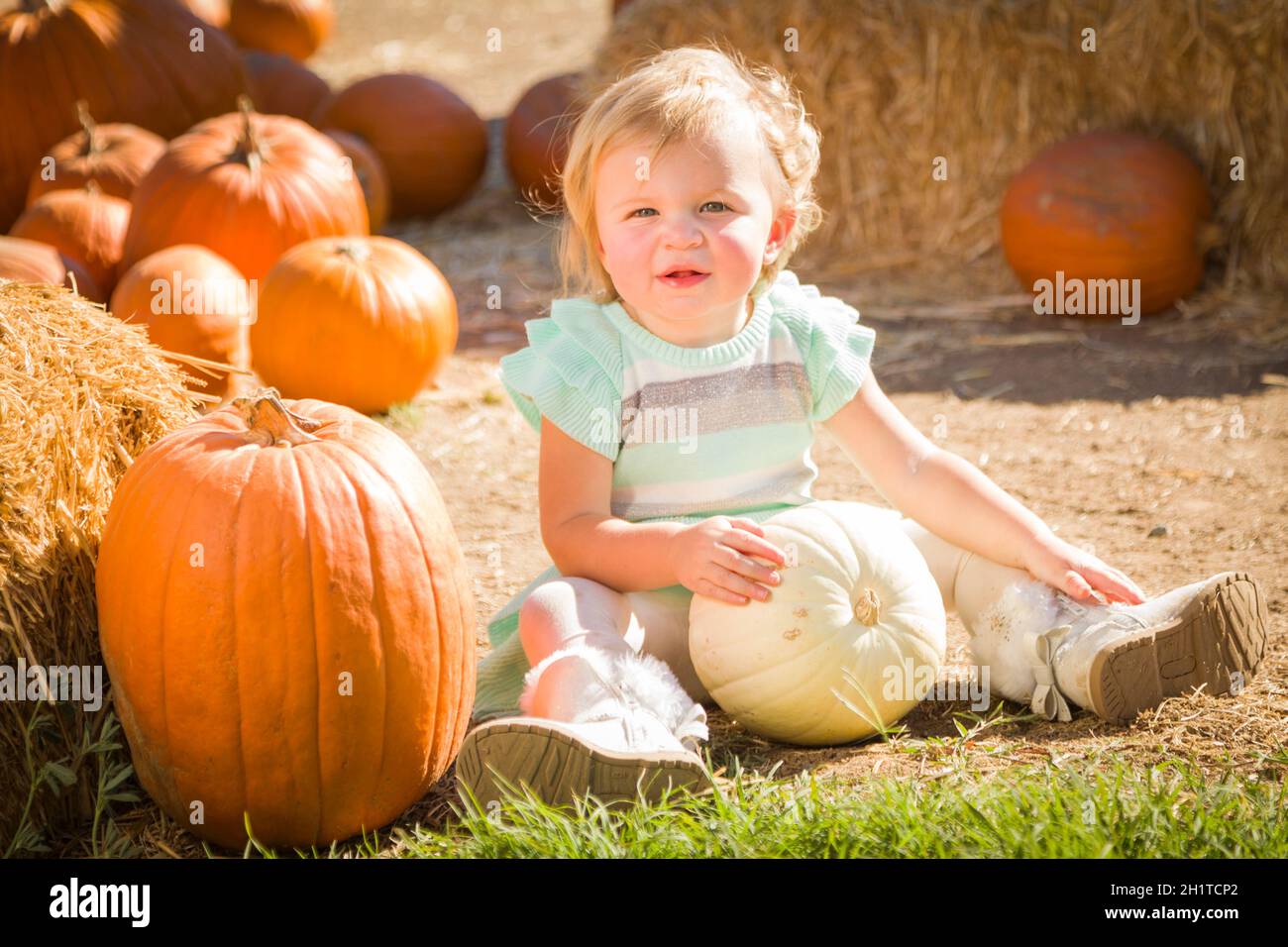 Baby girl in pumpkin patch hi-res stock photography and images - Alamy