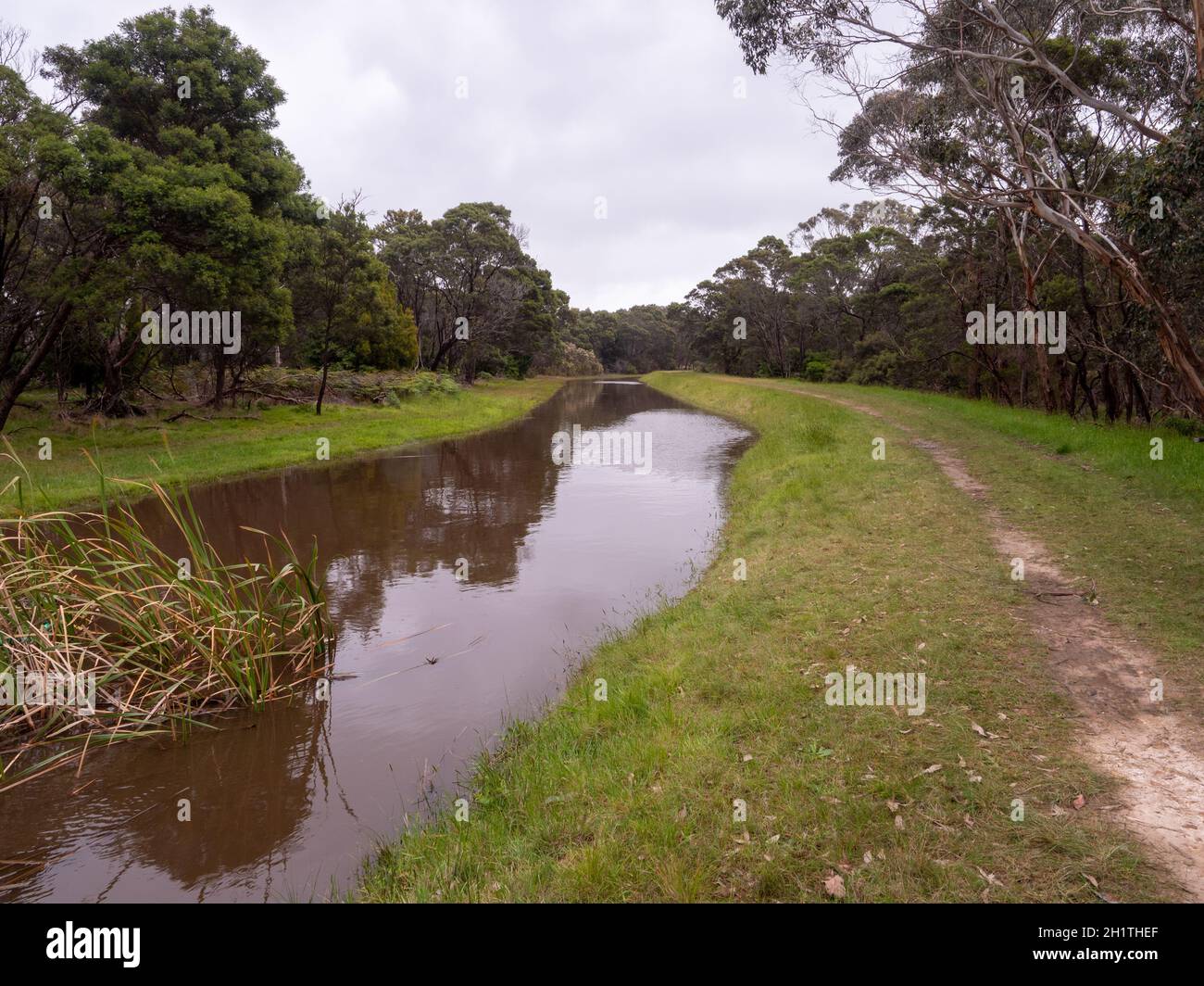Full Catch Drain after heavy spring rains at Devilbend Natural Features Reserve on The Mornington Peninsula, Victoria, Australia. Stock Photo