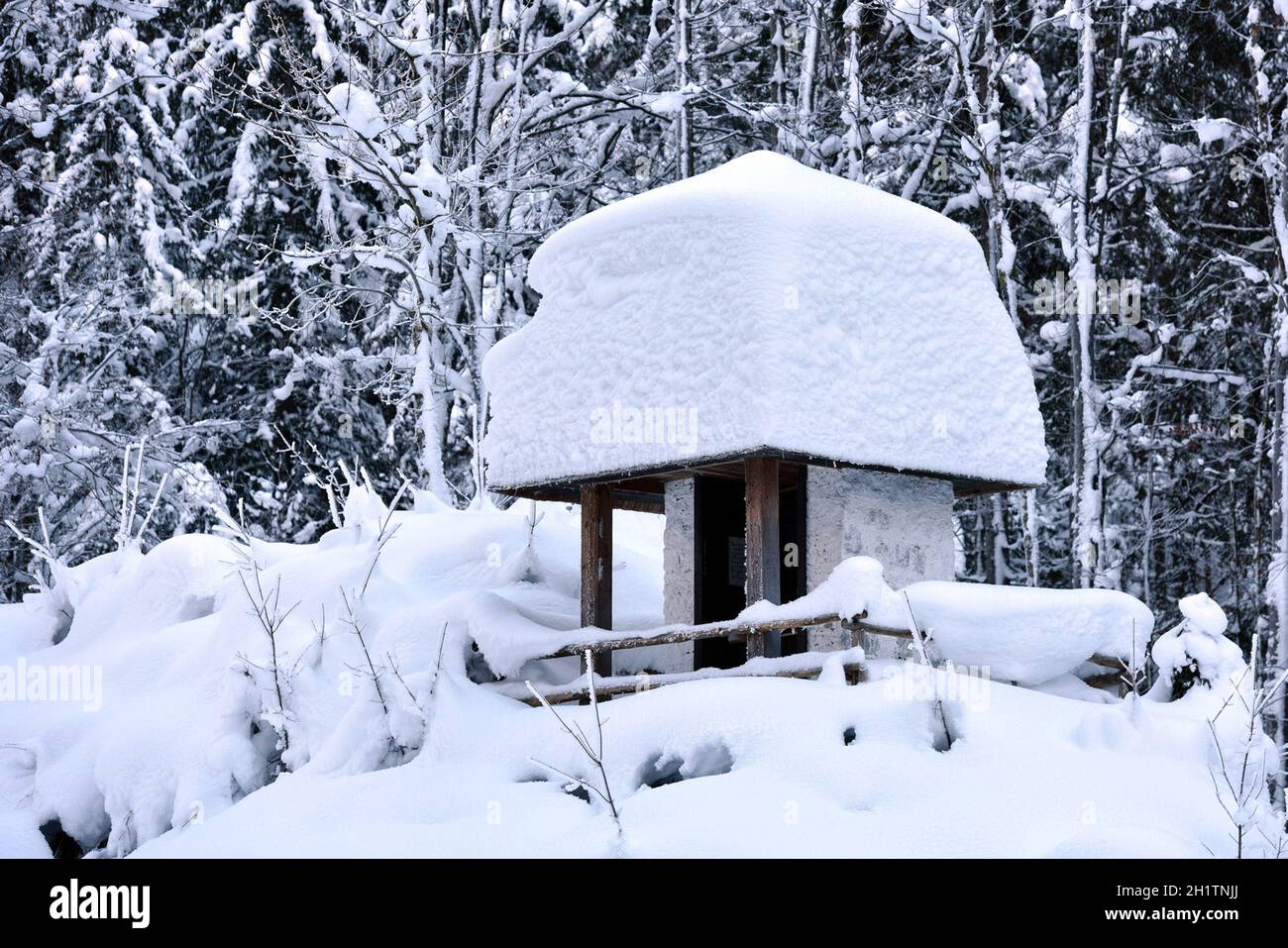 Schneebedeckte Kapelle bei Bad Ischl im Winter, Österreich, Europa - Snow-covered chapel near Bad Ischl in winter, Austria, Europe Stock Photo
