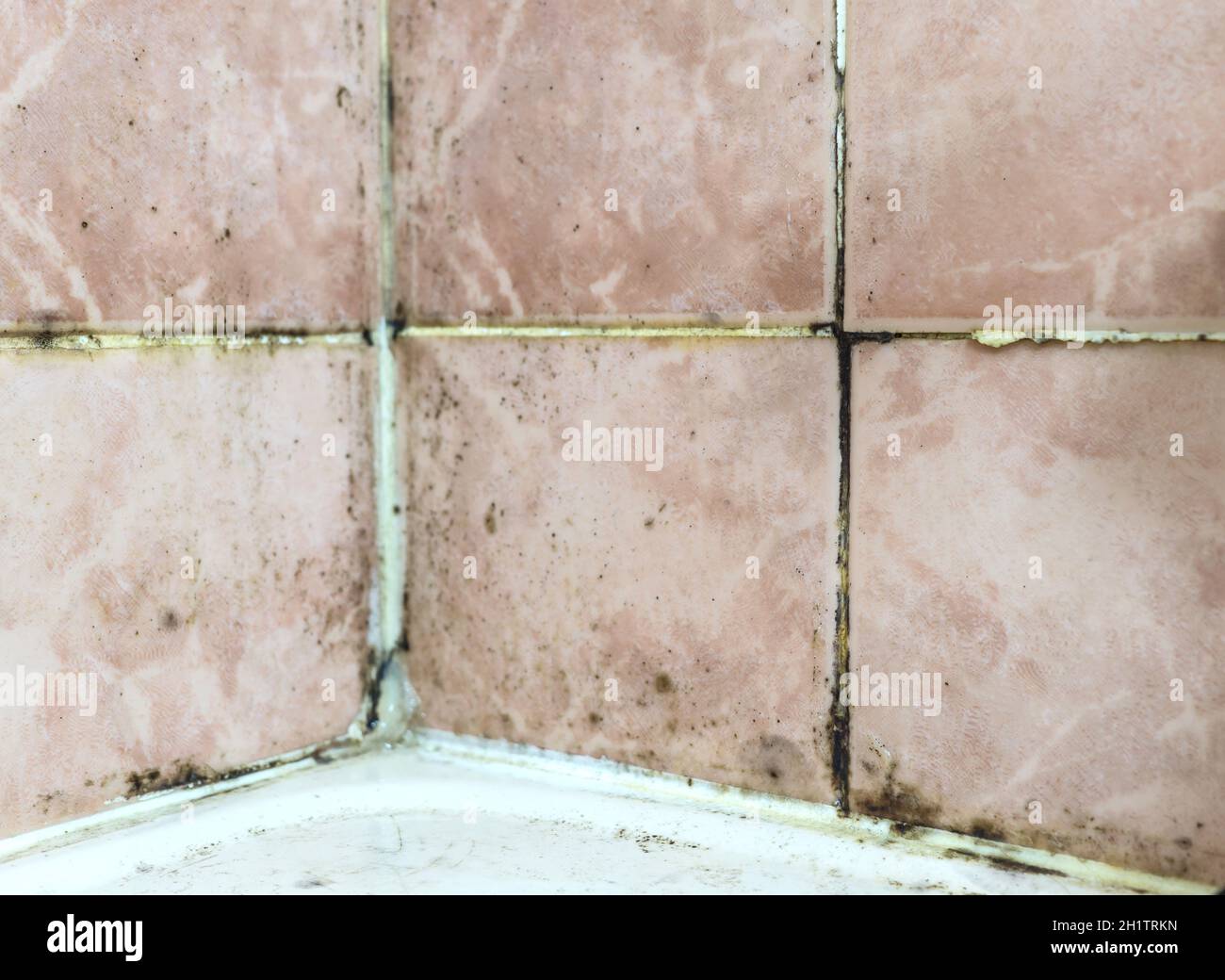 Mold tile joints with fungus due to condensation moisture problem