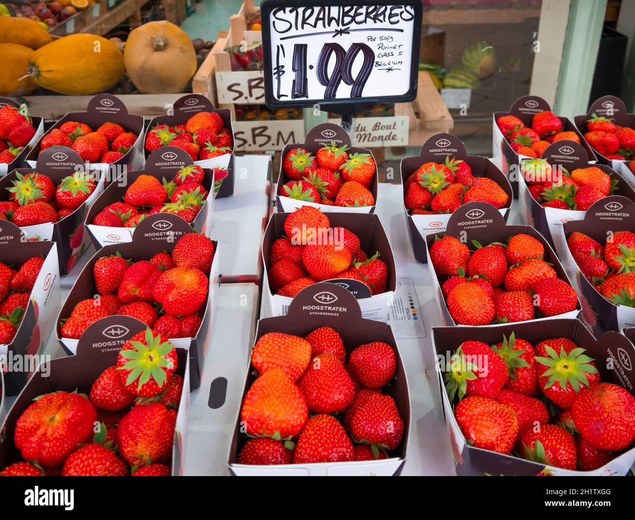 Ripe Belgian grown class 1 Strawberries for sale at £1.99 per 500g in Stokesley  North Yorkshire England Stock Photo