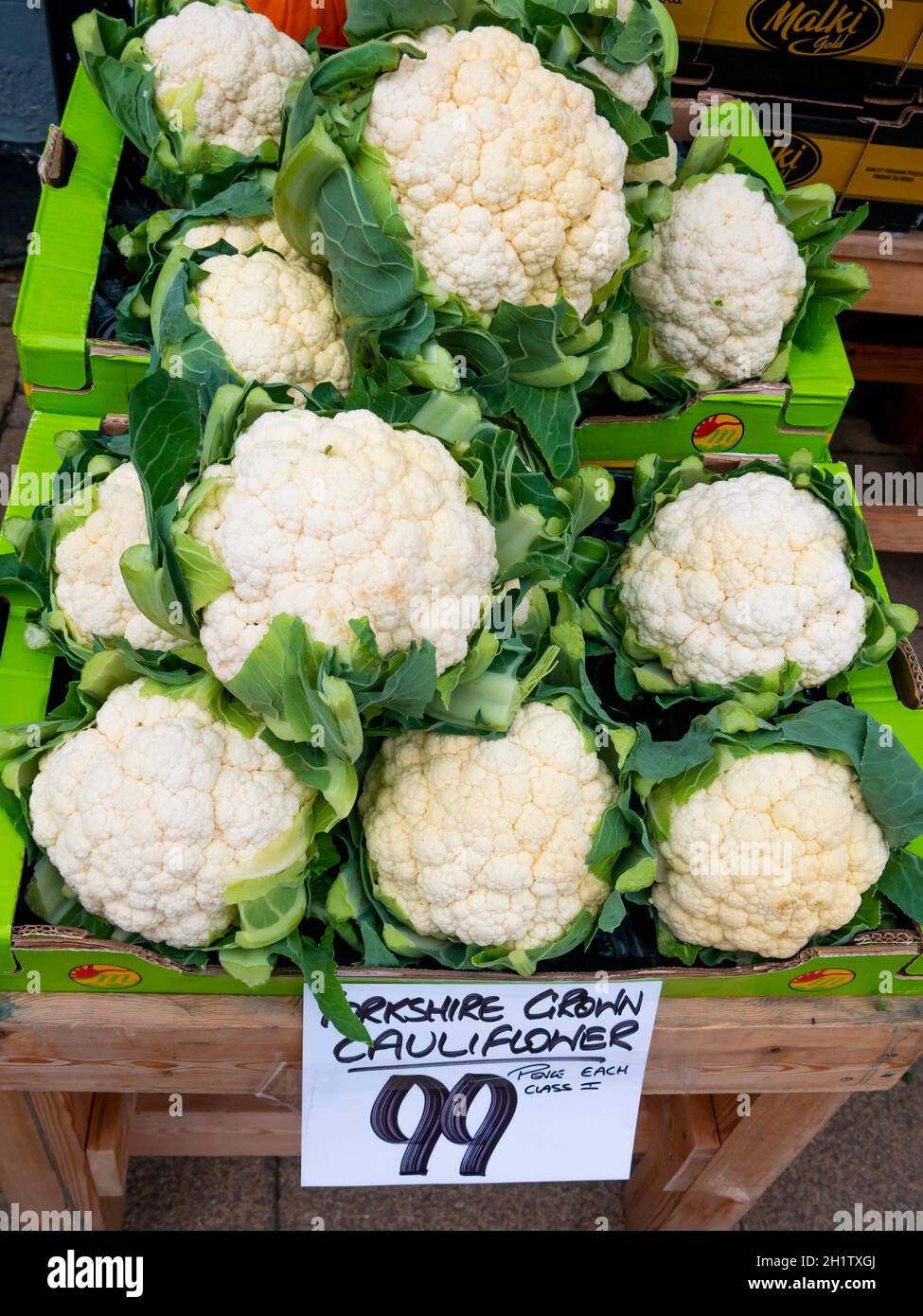 A display of fresh Class 1 Yorkshire grown cauliflowers in greengrocers shop in Stokesley North Yorkshire UK priced at £0.99 each 2021 Stock Photo