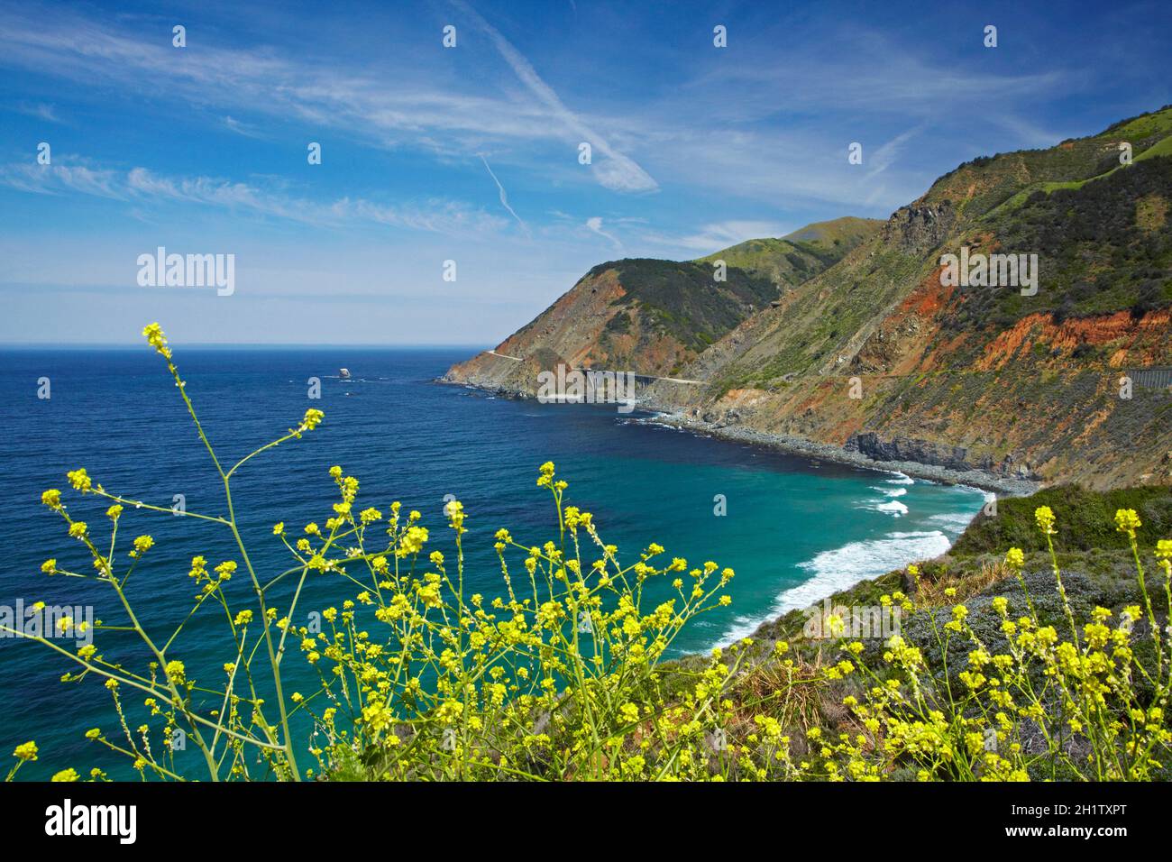 Wildflowers and Pacific Coast Highway near Big Creek Bridge, Big Sur
