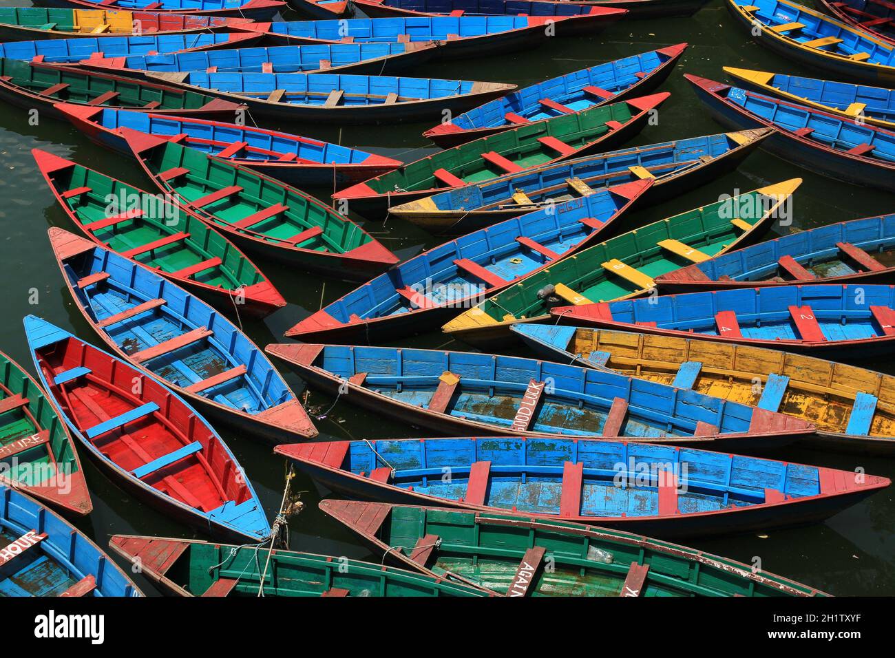Multi colored rowing boats on Fewa lake, Pokhara Stock Photo - Alamy
