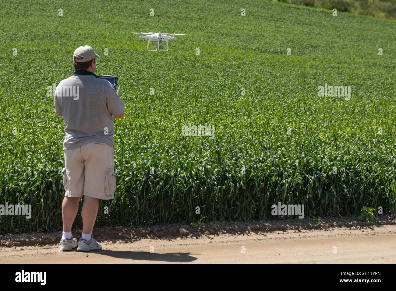 Pilot Flying Unmanned Aircraft Drone Gathering Data Over Country Farmland Field. Stock Photo