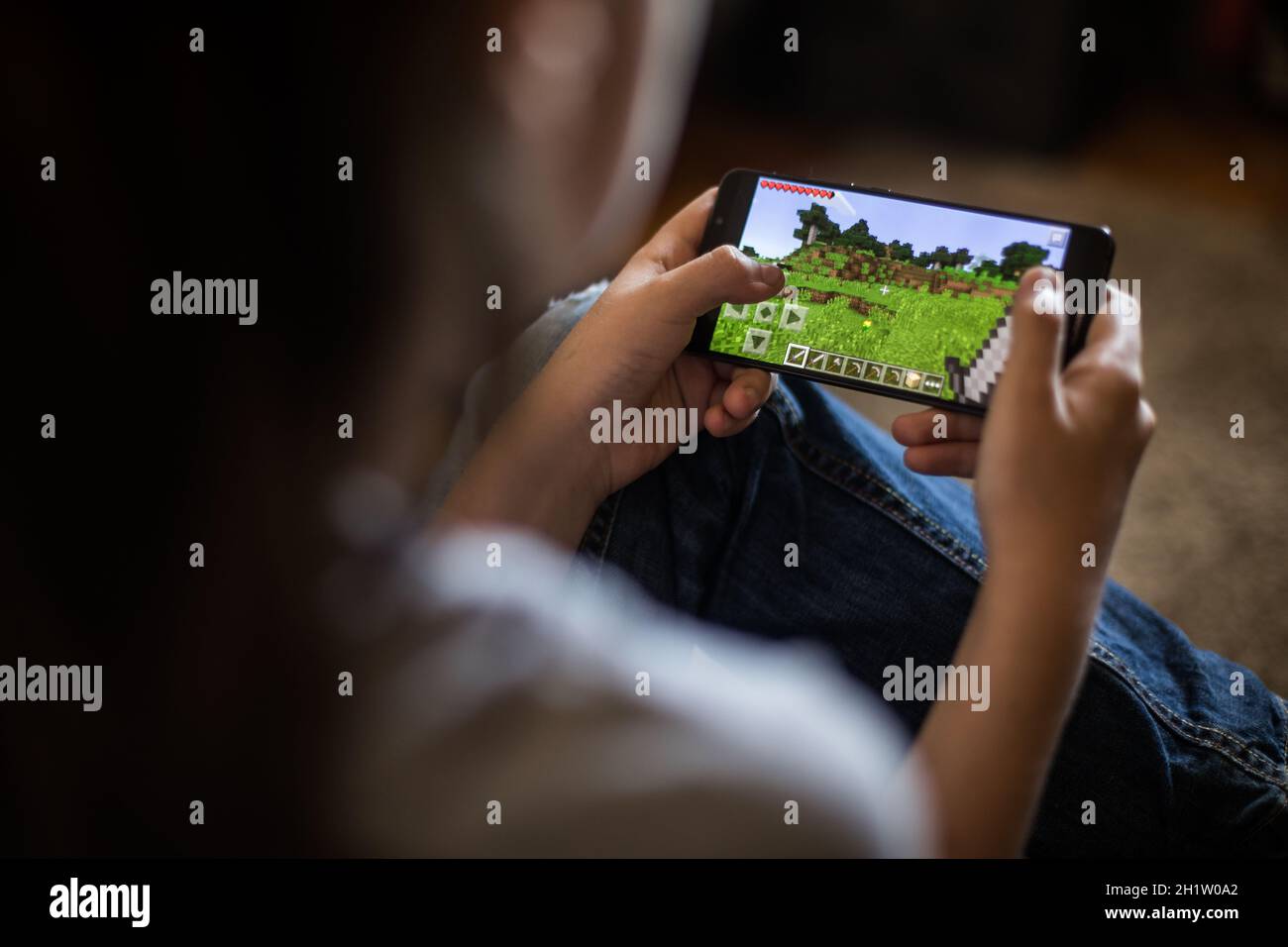 Teenager playing Minecraft multiplayer online game (MMO Stock Photo - Alamy