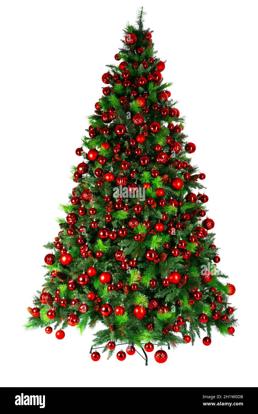 Beautiful christmas tree isolated on white background Stock Photo - Alamy
