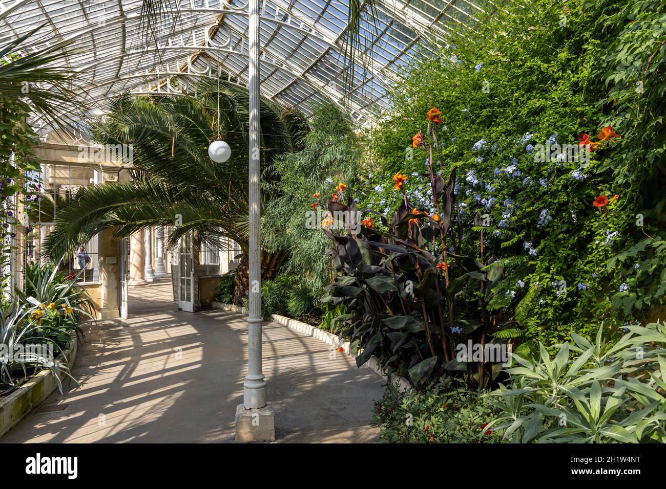 Interior of the Great Conservatory in the gardens of Syon House, built ...