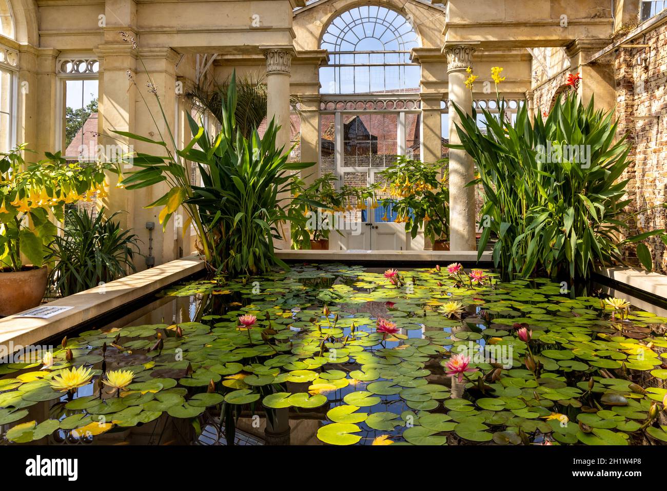 Lily Pond and interior of the Great Conservatory in the gardens of Syon House, built by Charles Fowler in 1826, Syon Park, West London, England, UK Stock Photo