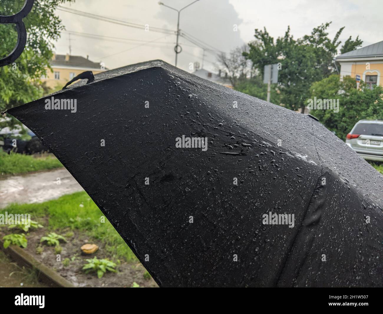 Rain drops falling onto umbrella Stock Photo - Alamy