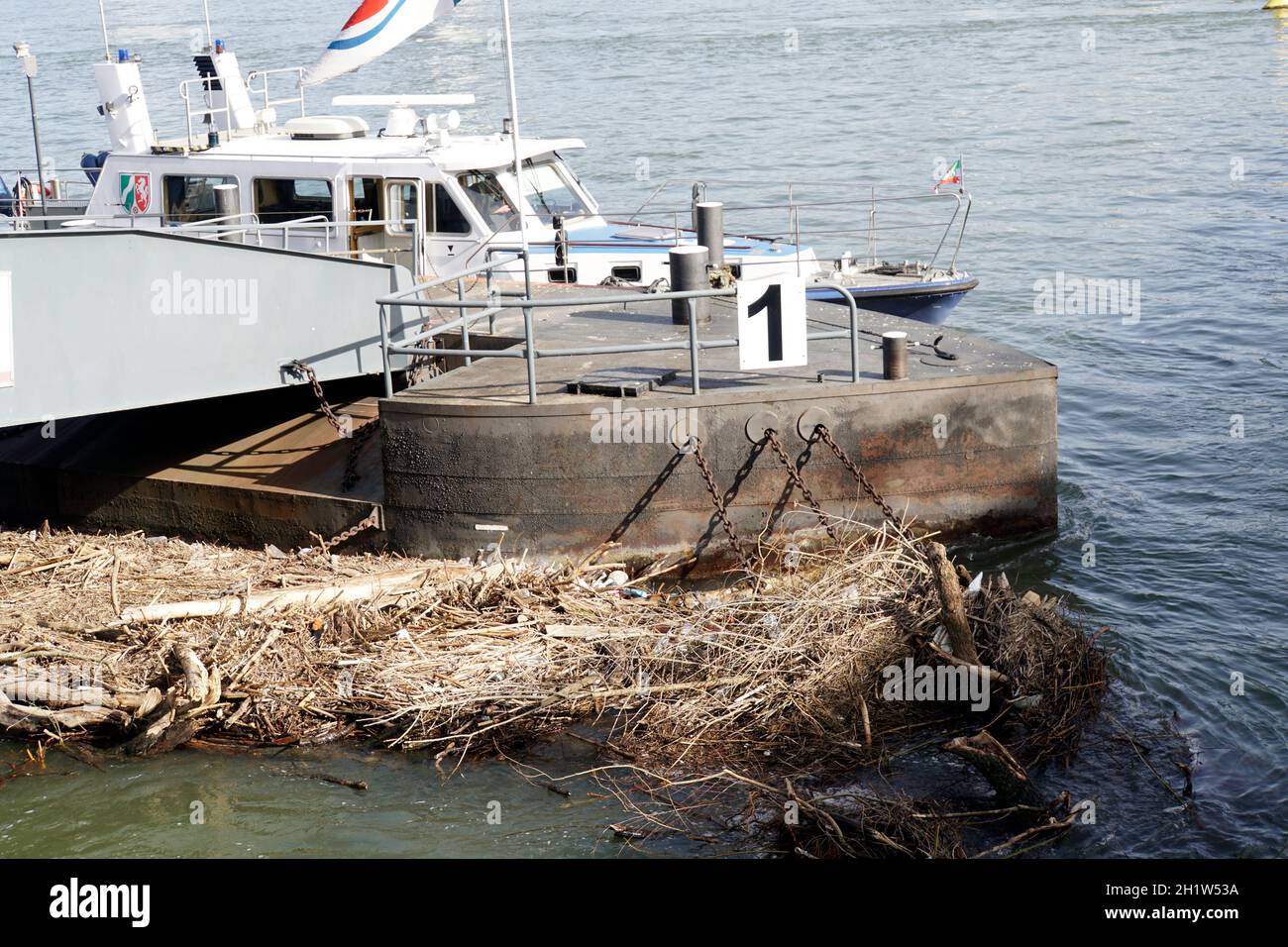 Treibholz vom letzten Hochwasser hängt an Anlegebrücke, Köln, Nardrhein-Westfalen, Deutschland Stock Photo