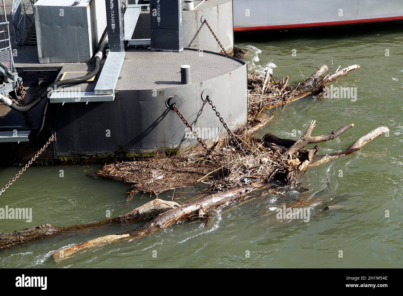 Treibholz vom letzten Hochwasser hängt an Anlegebrücke, Köln, Nardrhein-Westfalen, Deutschland Stock Photo