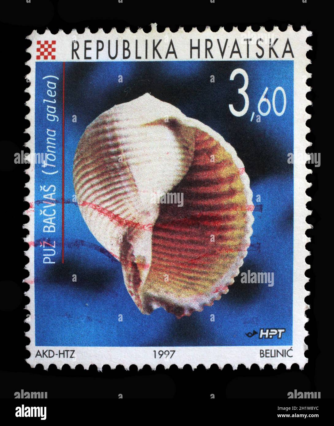 A stamp printed in Croatia shows Giant Tun (Tonna galea), Series Croatian fauna, circa 1997 Stock Photo