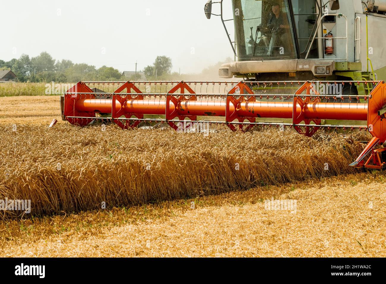 Man in combine harvesters with grain header, wide chaff spreader