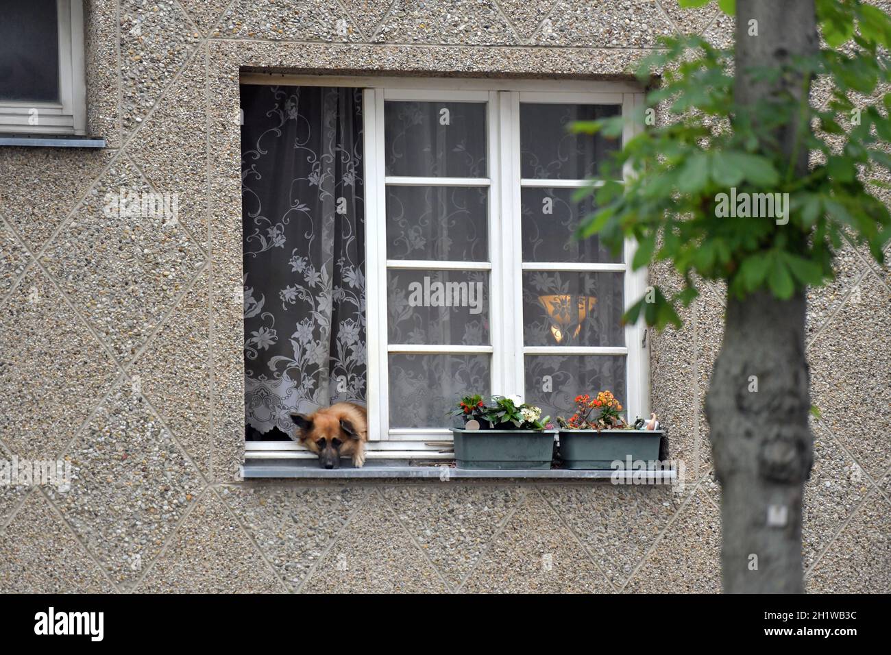 Wohnungsfenster hires stock photography and images Alamy