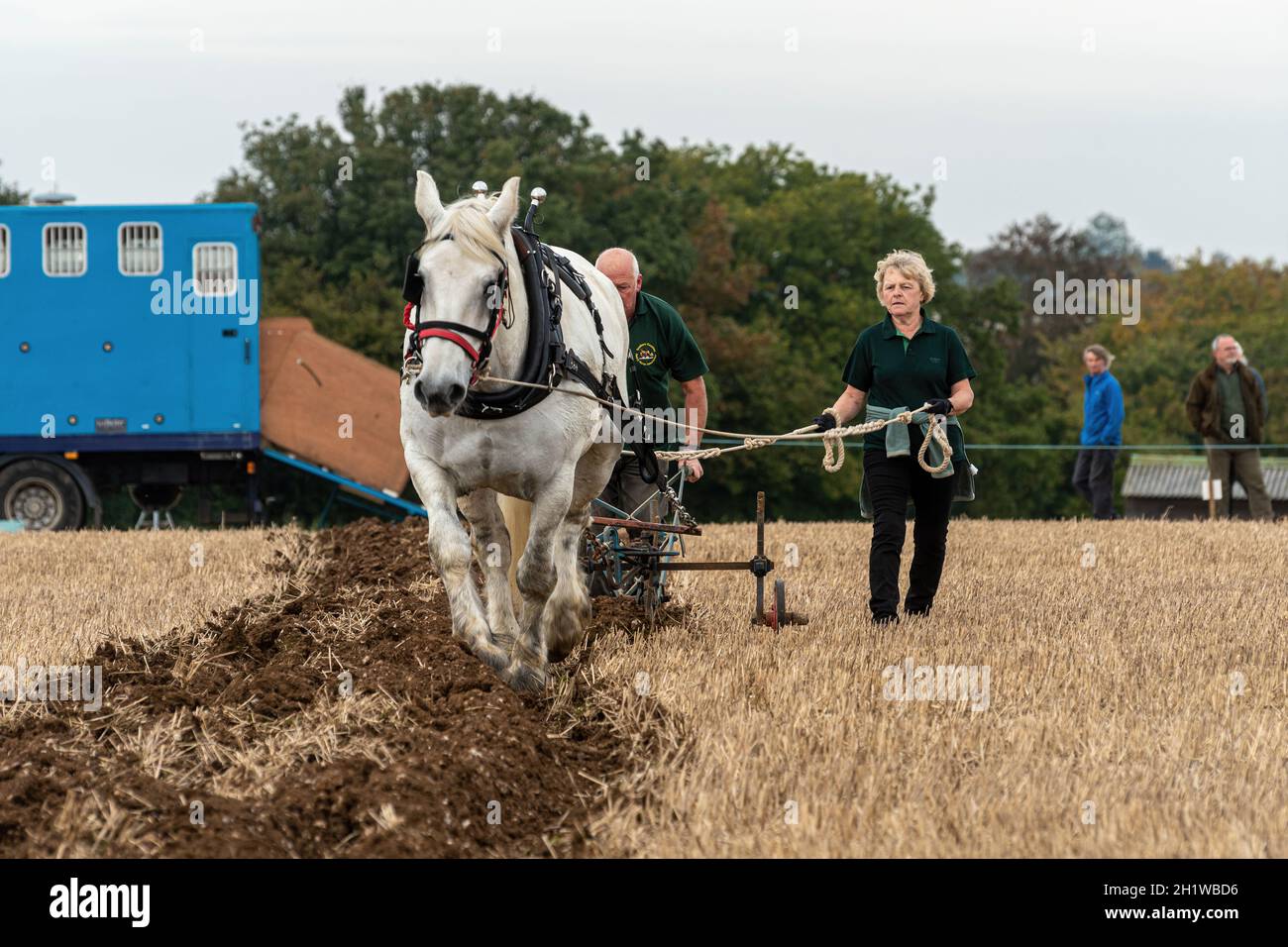 Heavy Horse Event, The Great All England Ploughing Match held in Droxford, Hampshire, England, UK, October 2021 Stock Photo