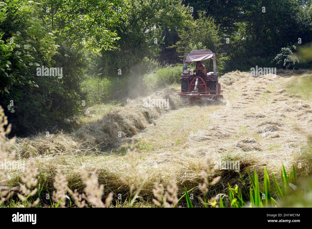 Heuernte im Naturschutzgebiet Obststreuwiesen Erftaue, Weilerswist, Nordrhein-Westfalen, Deutschland Stock Photo