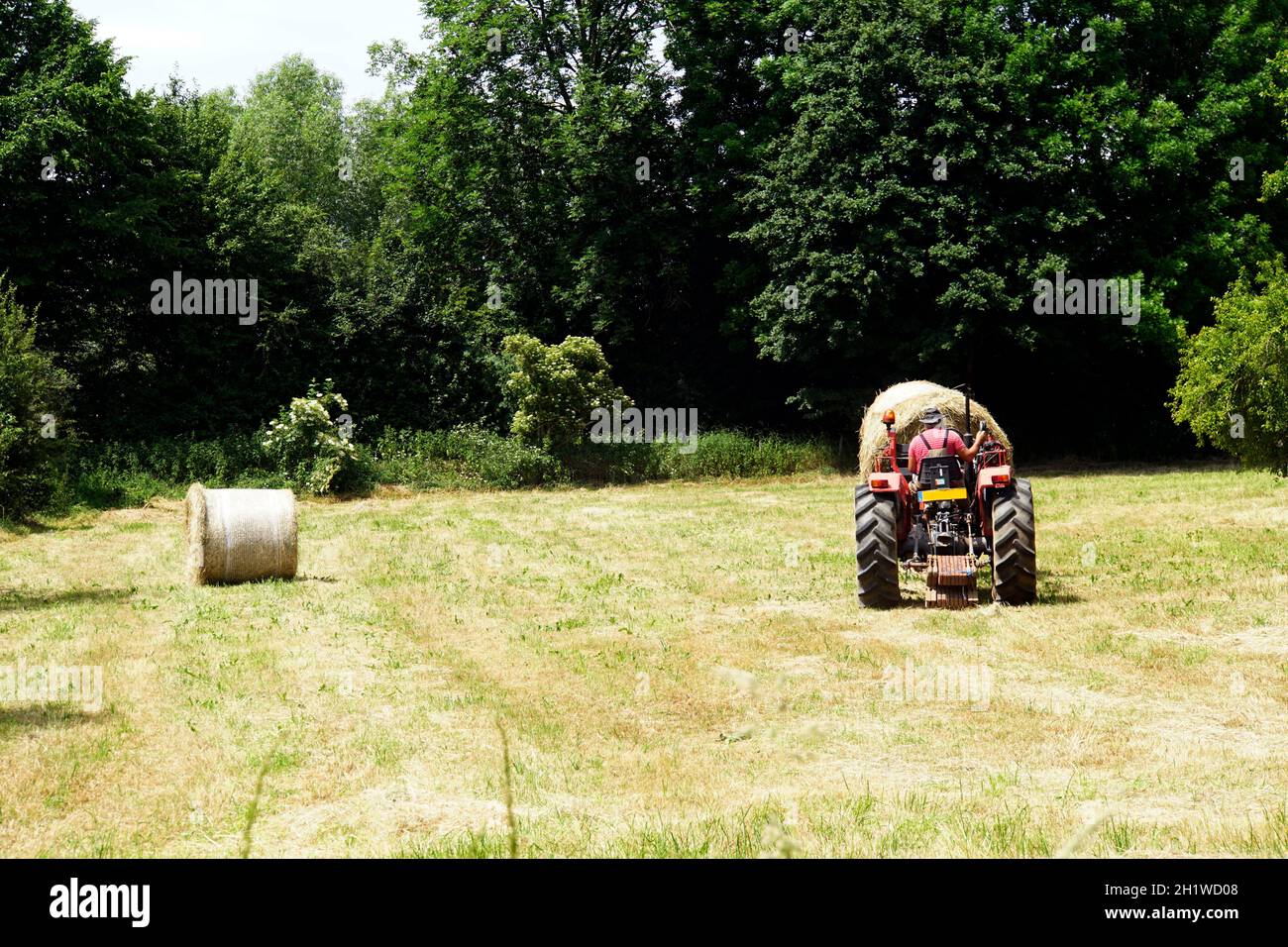 Heuernte im Naturschutzgebiet Obststreuwiesen Erftaue, Weilerswist, Nordrhein-Westfalen, Deutschland Stock Photo
