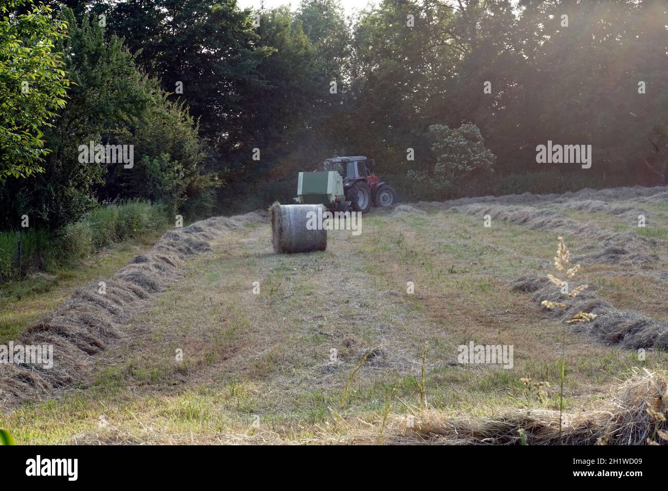 Heuernte im Naturschutzgebiet Obststreuwiesen Erftaue, Weilerswist, Nordrhein-Westfalen, Deutschland Stock Photo
