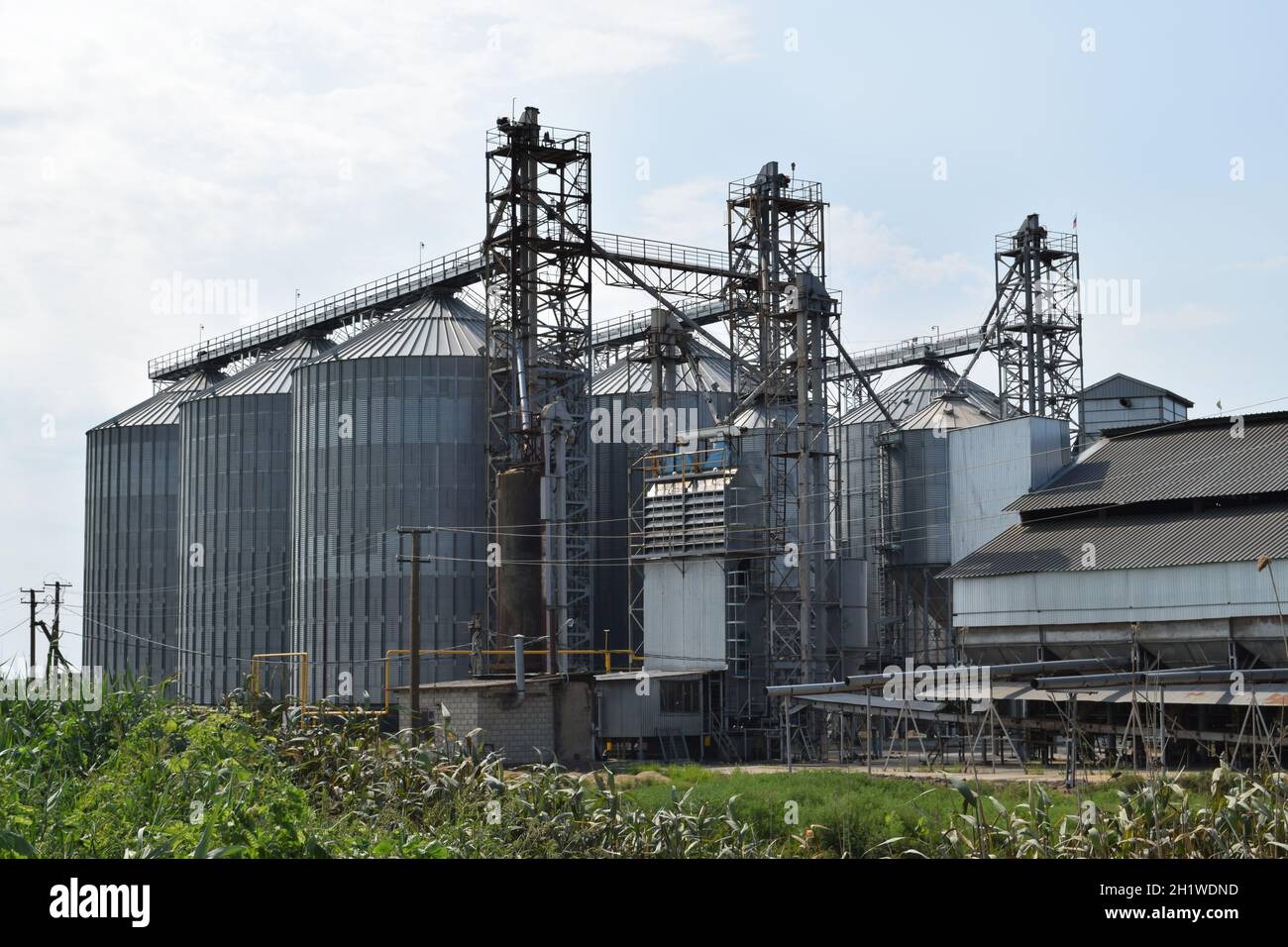 Storage silo rice hi-res stock photography and images - Alamy