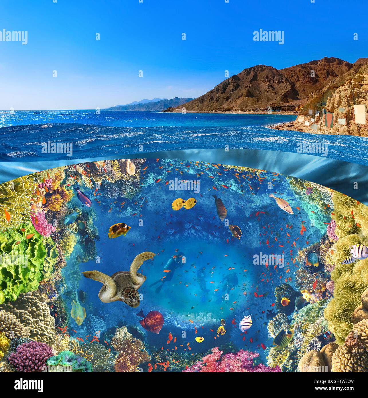 Scuba Diver over underwater canyon at blue hole at Dahab, Egypt