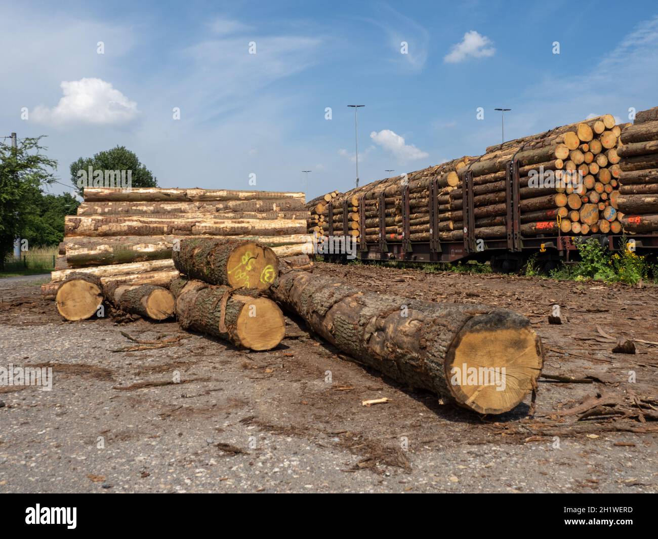 Stored timber in the area of railway switch yard Cologne Gremberg ...