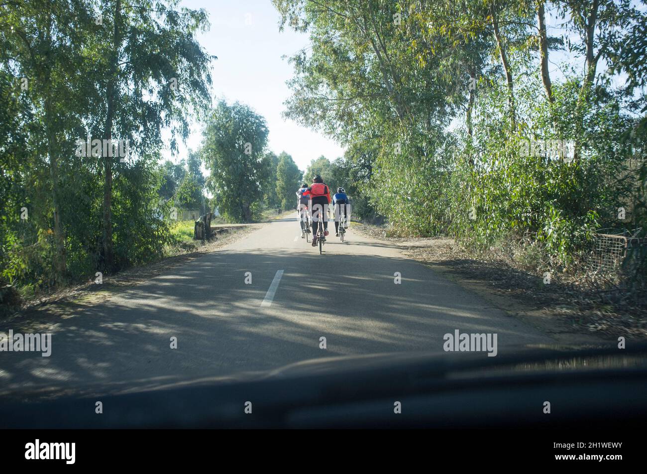 Driving slowly behind cyclists at country wooded road. View from the inside of the car Stock Photo