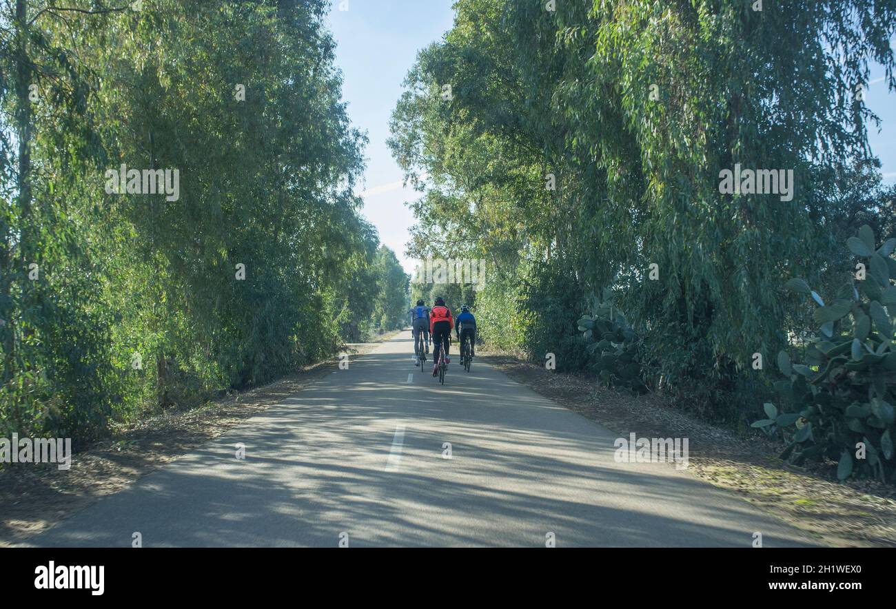 Driving slowly behind cyclists at country wooded road. View from the inside of the car Stock Photo