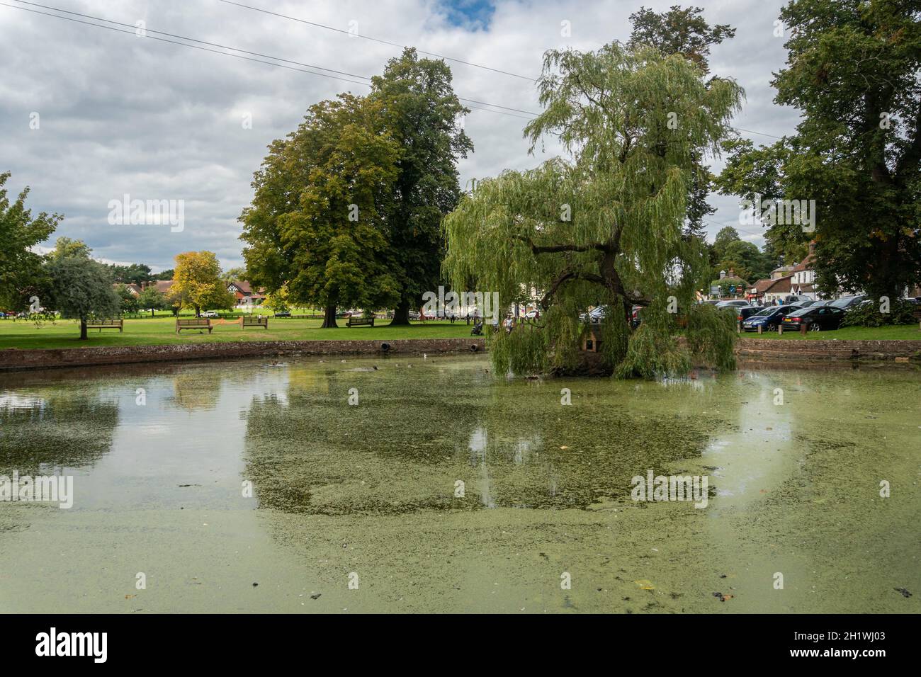 View of the pond on Godstone Green, Surrey, UK Stock Photo