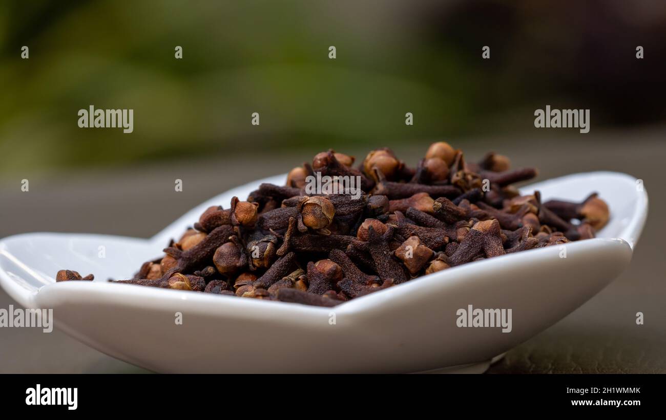 Cloves spice. Some dried cloves, macro close-up dried organic clove in nature outdoors. Stock Photo