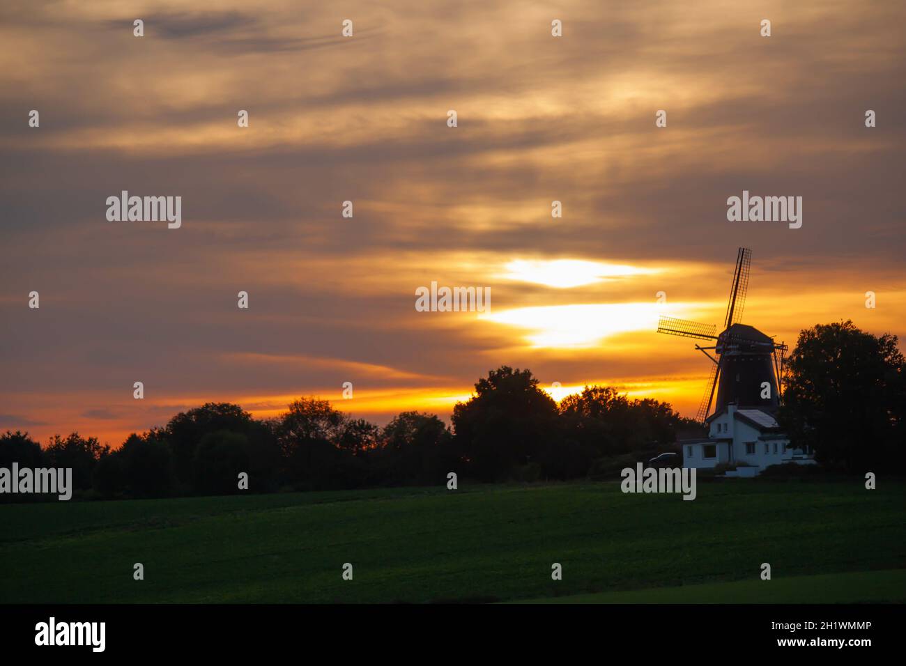 Field at the sunrise Stock Photo - Alamy