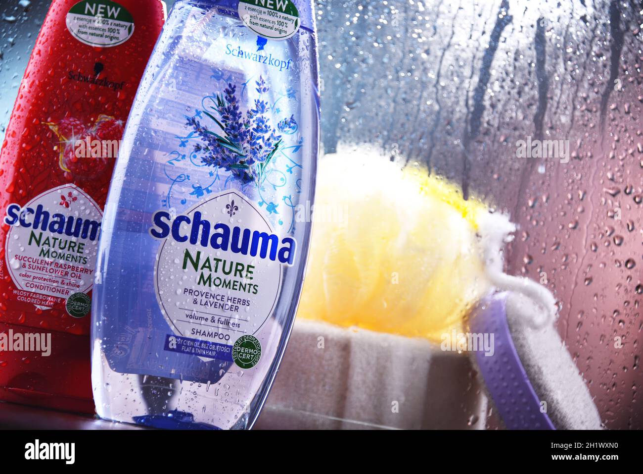 POZNAN, POL - OCT 23, 2020: Bottles of Schwarzkopf products, popular brand of first liquid shampoo developed by German chemist Hans Schwarzkopf in 192 Stock Photo