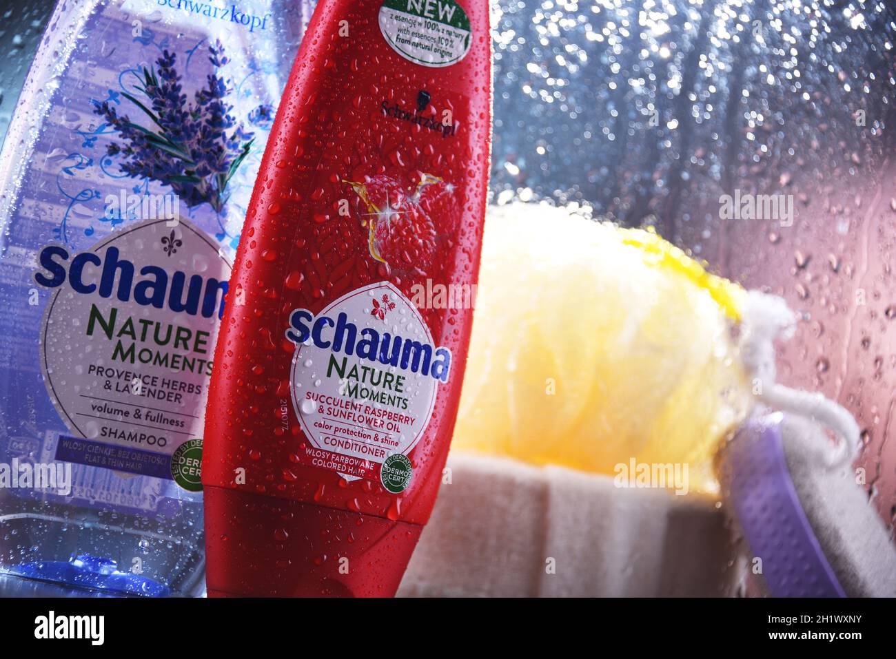 POZNAN, POL - OCT 23, 2020: Bottles of Schwarzkopf products, popular brand of first liquid shampoo developed by German chemist Hans Schwarzkopf in 192 Stock Photo