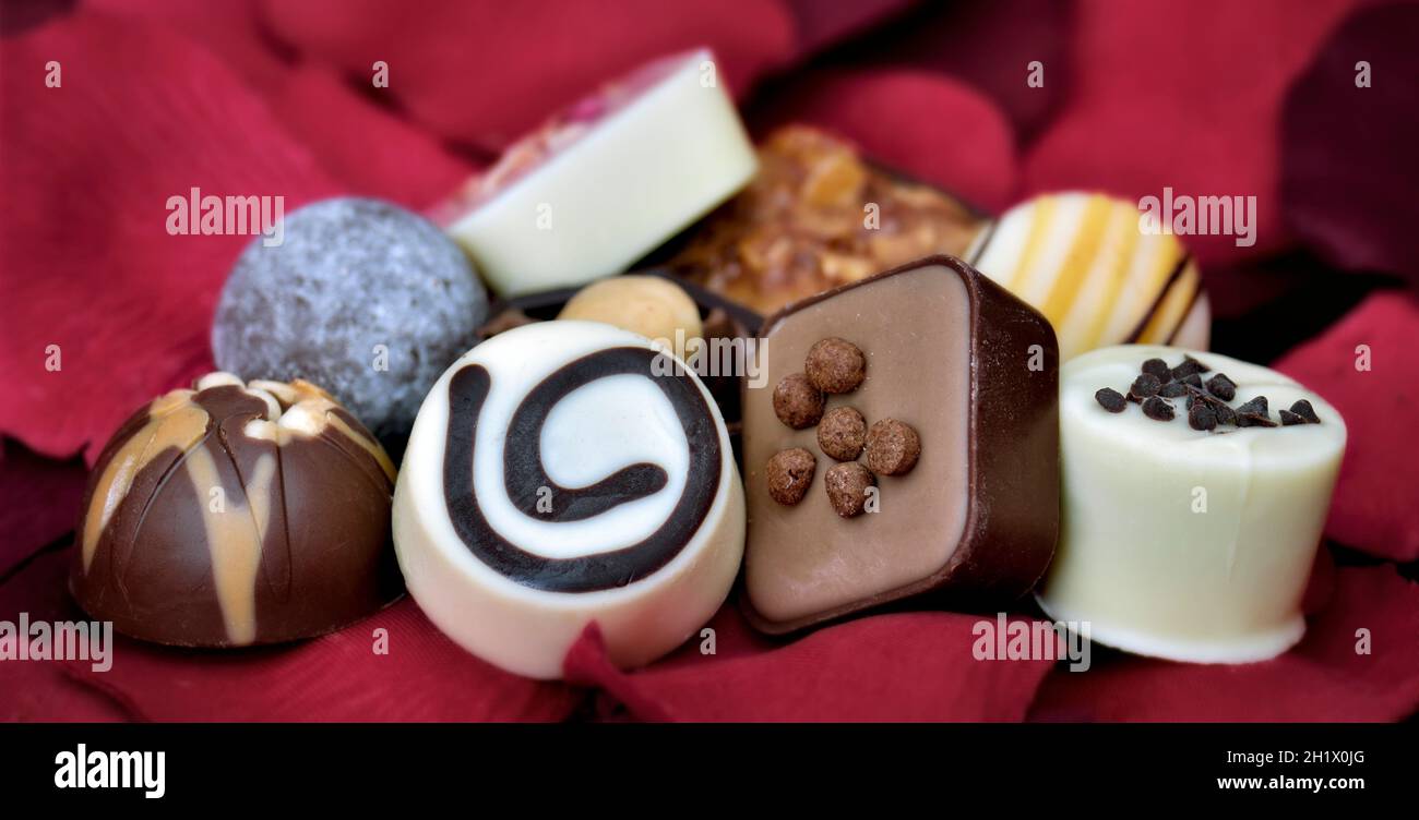 Panoramic close up of luxury continental or Belgian assorted chocolates on red rose petal background Stock Photo